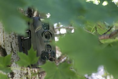 Sturdy AcornTrail Hunting Trail Surveillance Video Camera