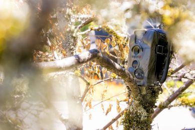 Take Quality Pictures Hunting Trail Camera in Clear Full-Color