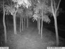 Plug & Play Waterproof Hunting Trail  Night Vision Spy Camera